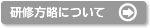 説明: 研修方略について